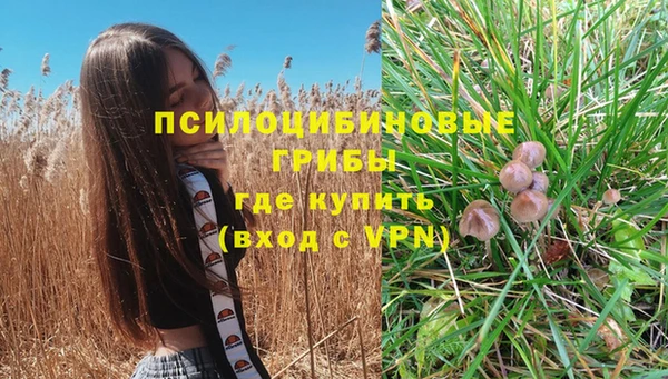 крисы Богданович