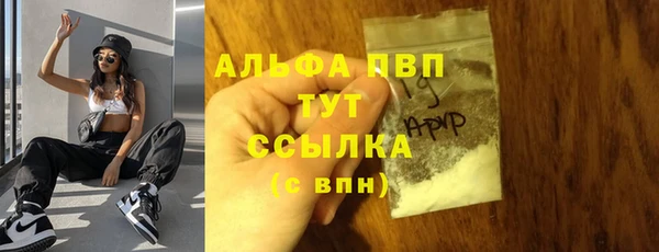 ECSTASY Богородск