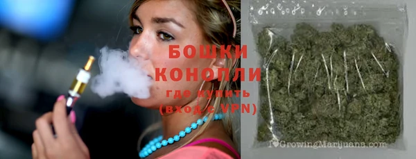 крисы Богданович