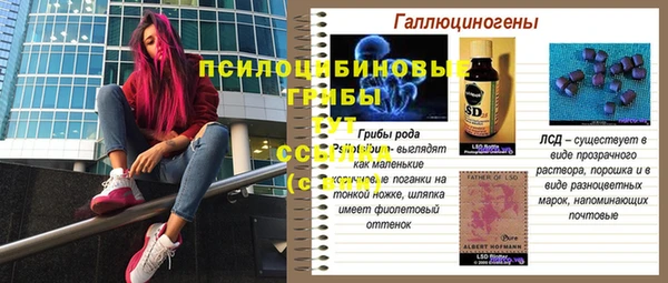 ECSTASY Богородск